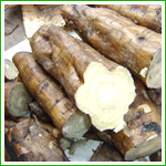 Pueraria Extract